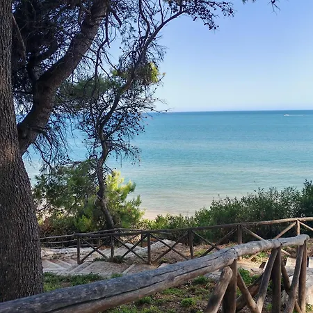 La Casa Tra I Pini *